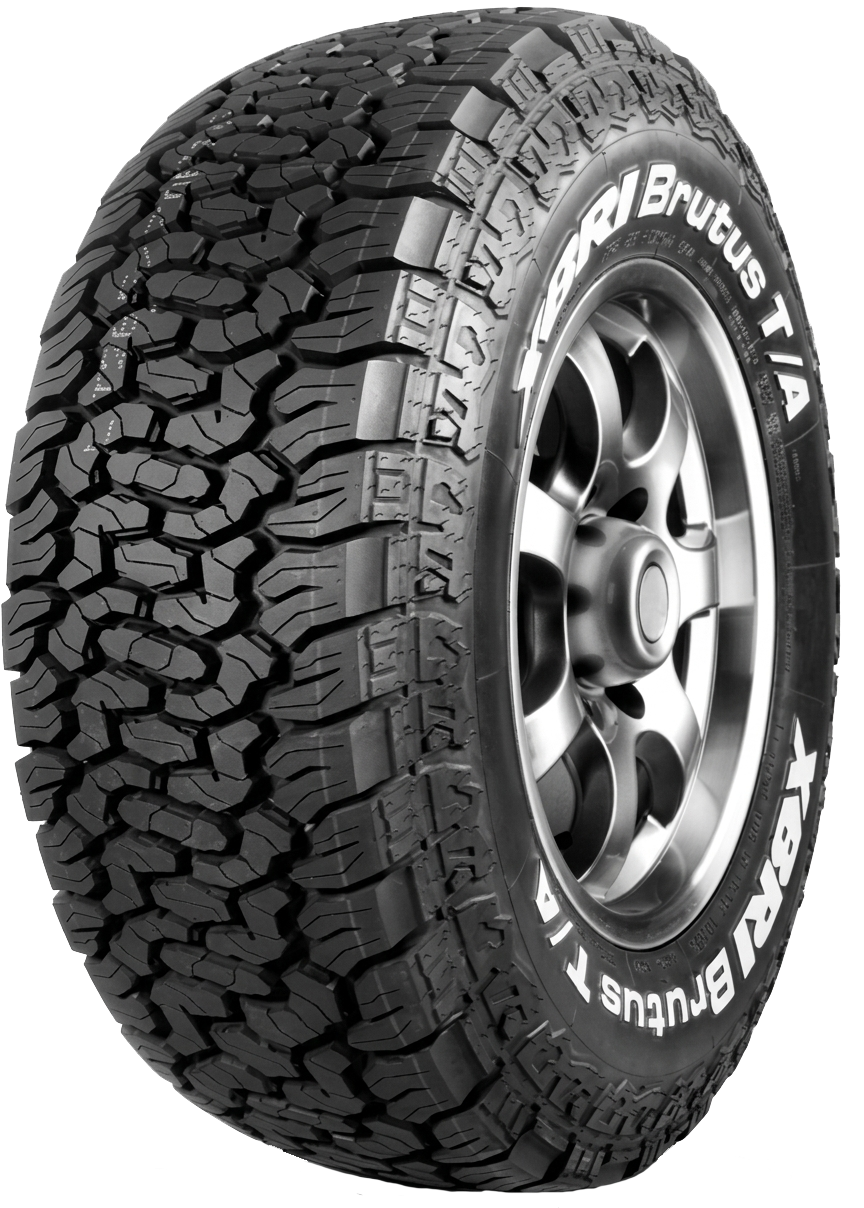 XBRI BRUTUS T/A